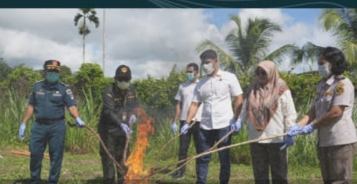 Karantina Papua Perketat Pengawasan Unggas, 4 Ayam Dimusnahkan di Pelabuhan Jayapura